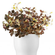 Eva solo - Self watering plant 9cm - Chalk white | Hype Design London