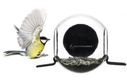 Born in Sweden Bird Feeder | Hype Design London