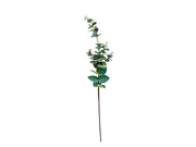 Decor Kvist Eucalyptus PP Green L71
